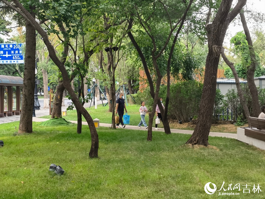 新民大街口袋公園。人民網記者 馬俊華攝