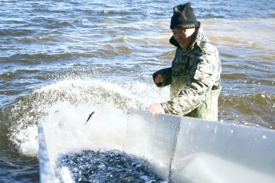 遼源市在楊木水庫舉行2024年漁業增殖放流活動
