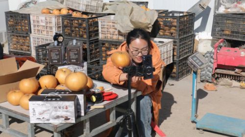 電商主播介紹巨型大梨。邢建光 攝