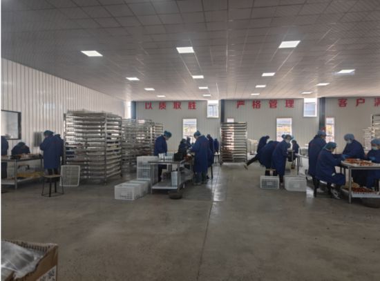 示范區企業沐梵公司柿子加工現場